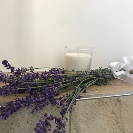 Mit Sauna Apartamento